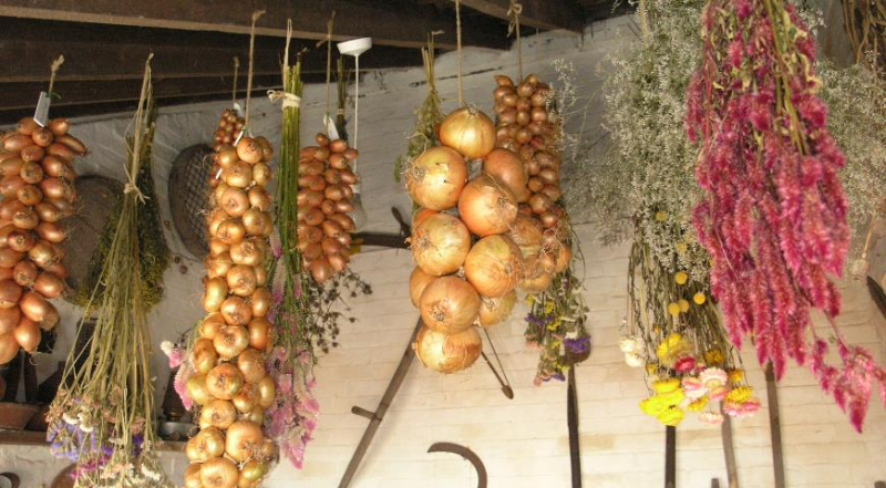 Как сохранить урожай чеснока и лука: лучшие народные способы, проверенные временем