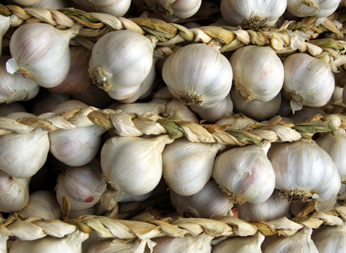 Как сохранить урожай чеснока и лука: лучшие народные способы, проверенные временем