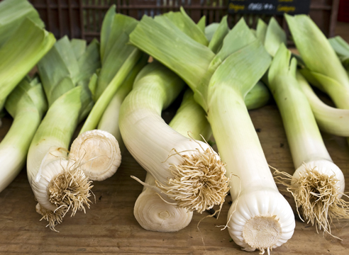 Как сохранить урожай чеснока и лука: лучшие народные способы, проверенные временем