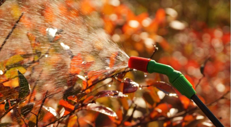 Лунный посевной календарь садовода, цветовода и огородника на август 2023 года