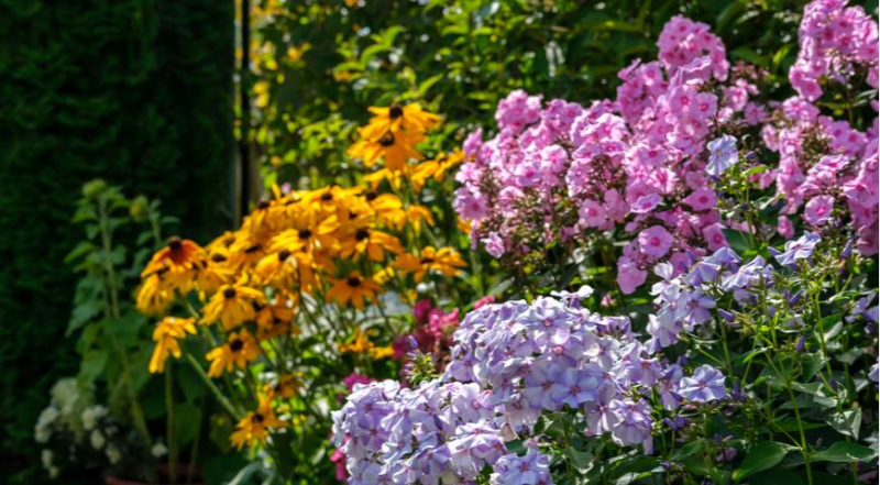 Лунный посевной календарь садовода, цветовода и огородника на август 2023 года