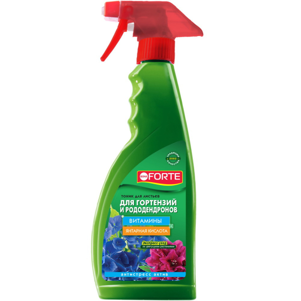 Размножаем гортензию правильно: 4 способа с описанием всех подробностей